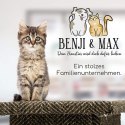 BENJI&MAX DRAPAK SŁUPEK DRZEWKO DLA KOTA