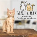 BENJI&MAX ZABAWKA DLA KOTA Z MYSZKĄ PIŁECZKĄ