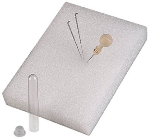 Efco Mata, podkład, gąbka do filcowania na sucho 21x15