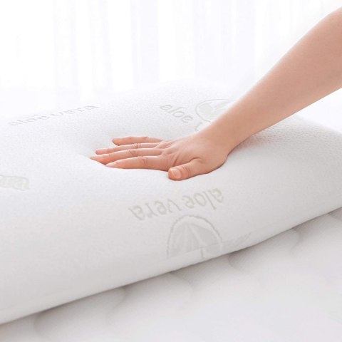 Amazon Basics Aloe Vera Poduszka z Pianki Memory 70 x 42 x 13 cm + gratis!