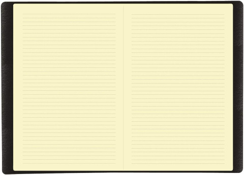 Rock N Roll 16x24 cm notes zeszyt w linie 96 K
